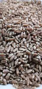 Gacer Tam Buğday Unu 2 kg