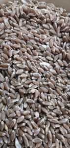 Dinkel (spelt)Tam Buğday Unu 5 kg